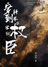 穿到宋朝考科舉當權臣