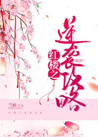 紅樓之逆襲攻略