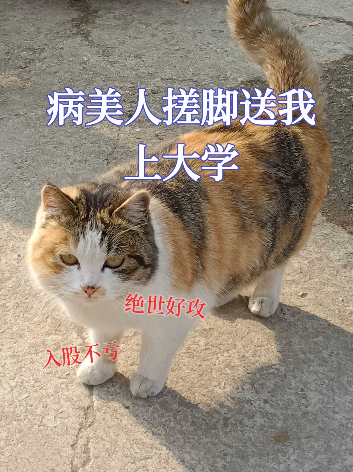 病美人搓腳送我上大學