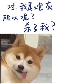 你們惹他幹嘛？[無限]