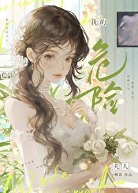 我的危險夫人