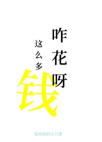 這麼多錢咋花呀