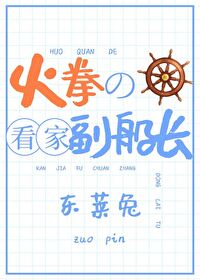 火拳的看家副船長