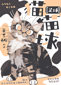 [足球]貓貓球