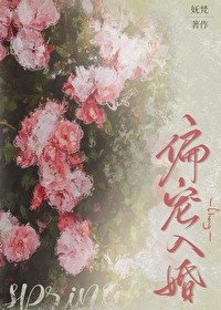 偏寵入婚